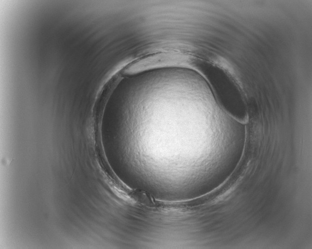 X0000068751114200605121602