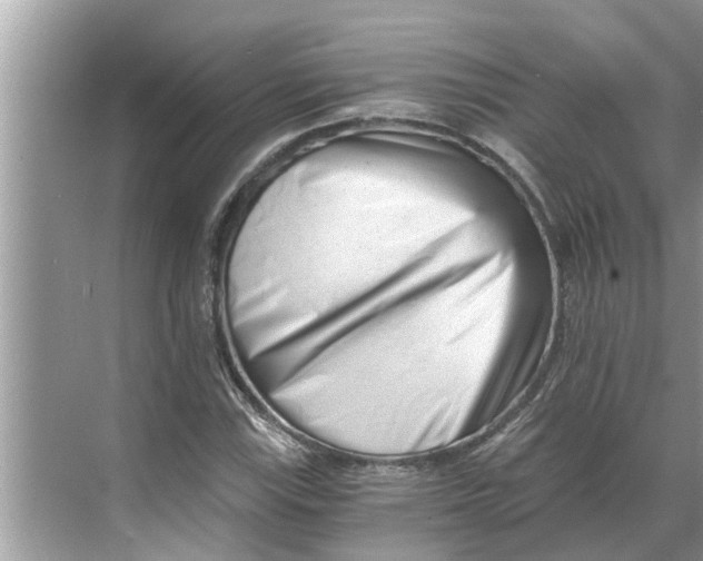 X0000068751115200605121602