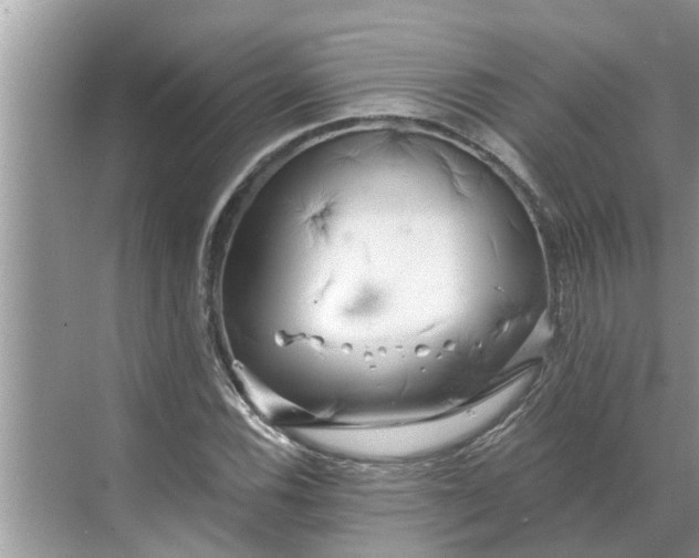 X0000068751116200605121602