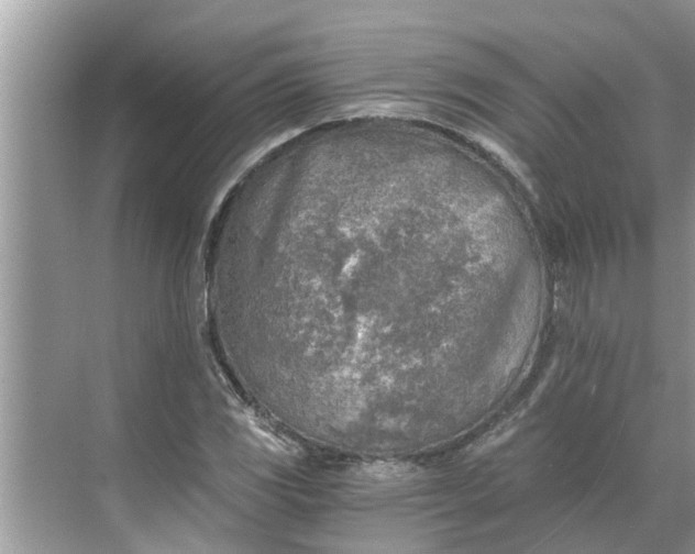 X0000068751117200605121602