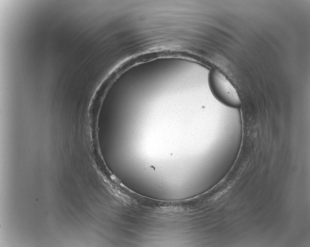 X0000068751118200605121602