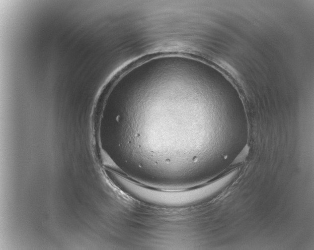 X0000068751120200605121603