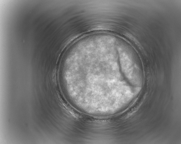 X0000068751121200605121603