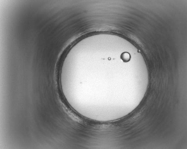 X0000068751122200605121603