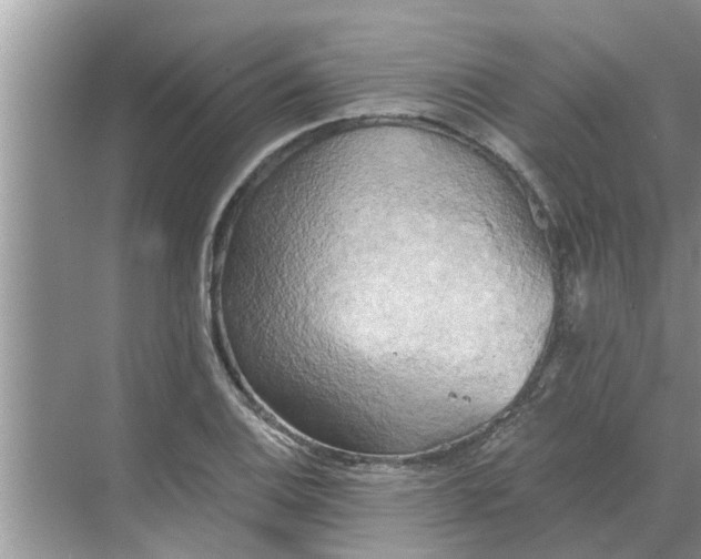 X0000068751124200605121603