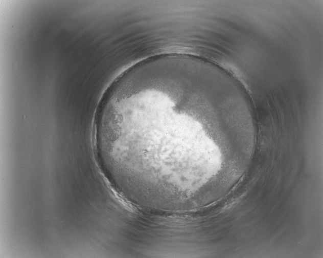 X0000068751125200605121603