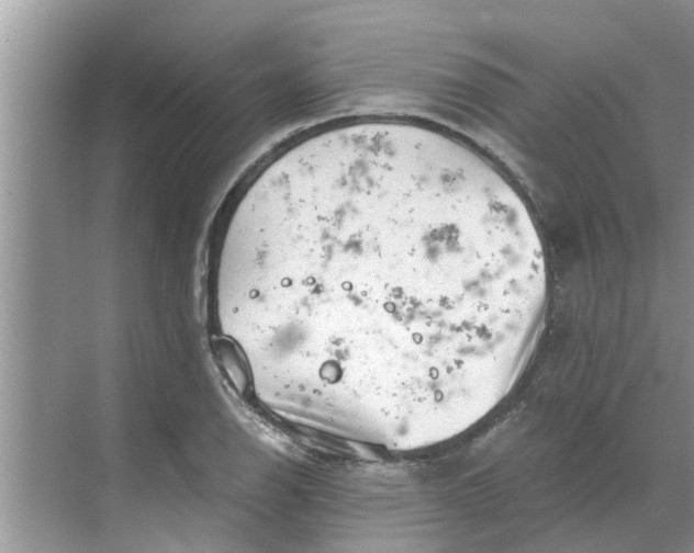 X0000068751126200605121603