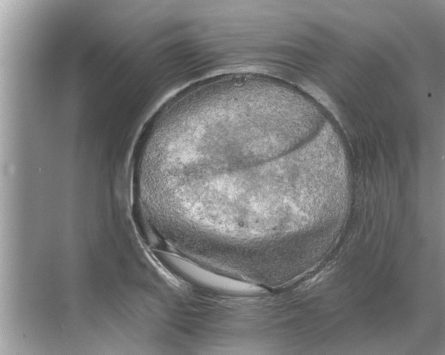 X0000068751127200605121603