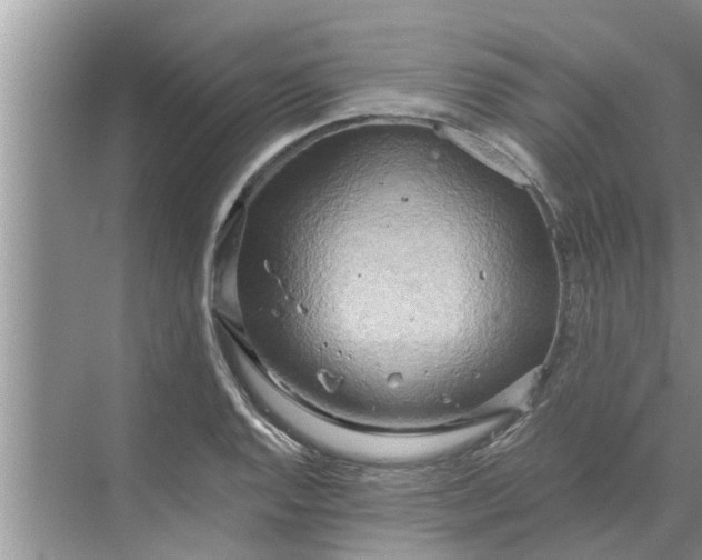 X0000068751128200605121603