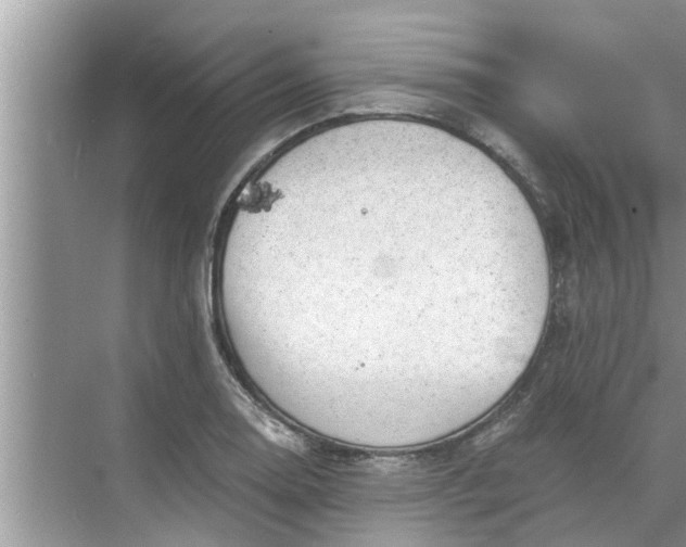 X0000068751130200605121603