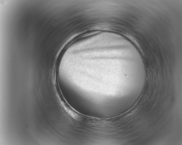 X0000068751131200605121603