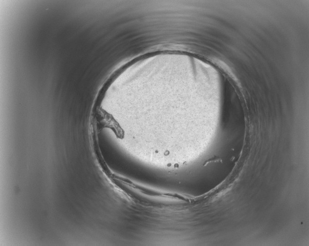 X0000068751133200605121603