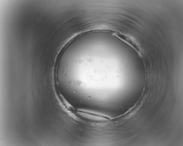 X0000068751134200605121603