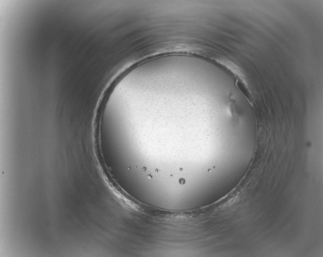 X0000068751135200605121603