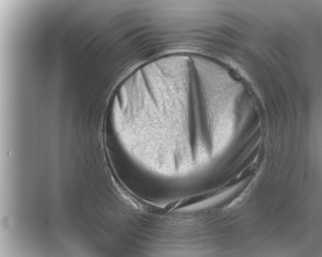 X0000068751137200605121603