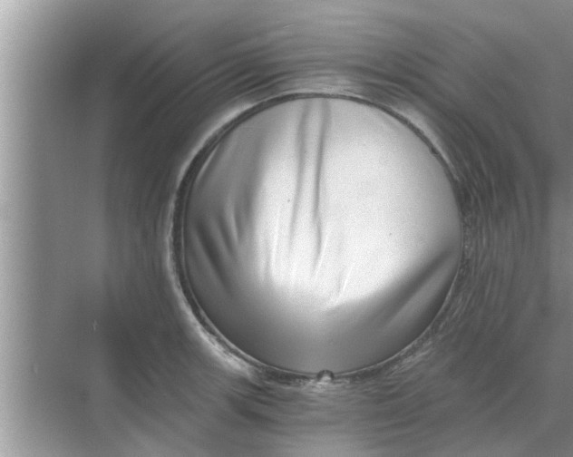 X0000068751139200605121603