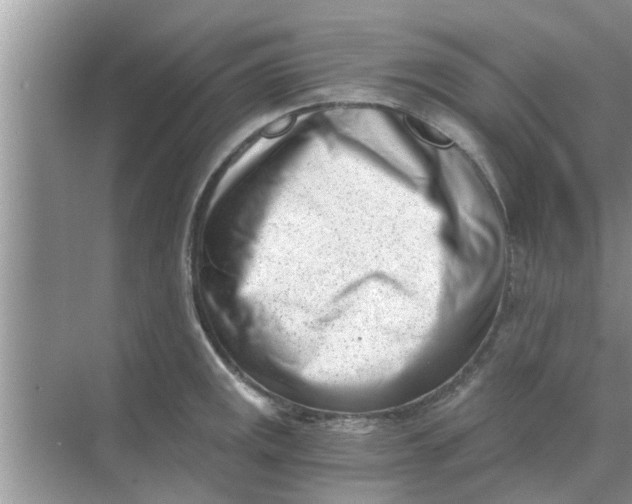 X0000068751141200605121603