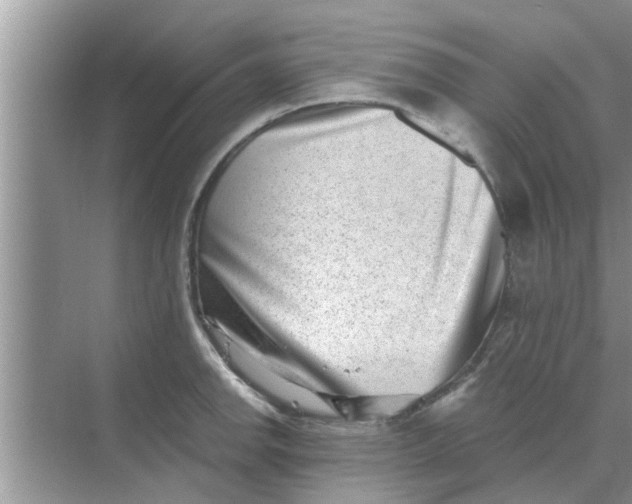 X0000068751142200605121603