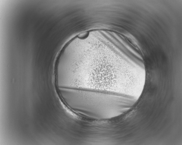 X0000068751143200605121603