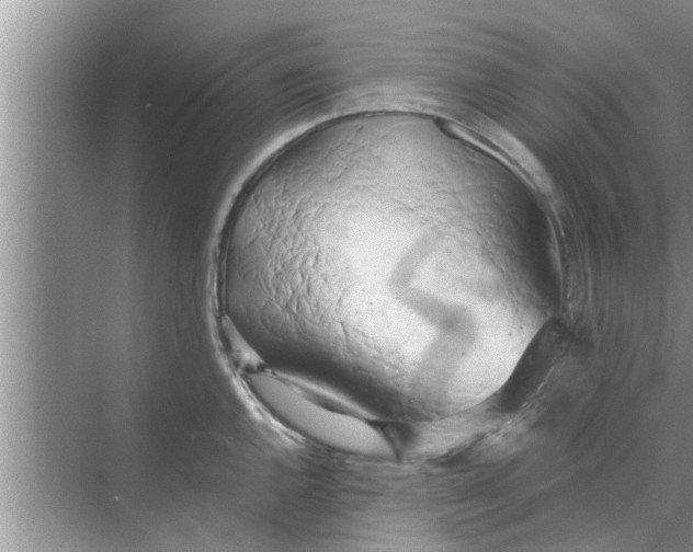 X0000068751144200605121603