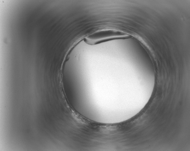 X0000068751145200605121603