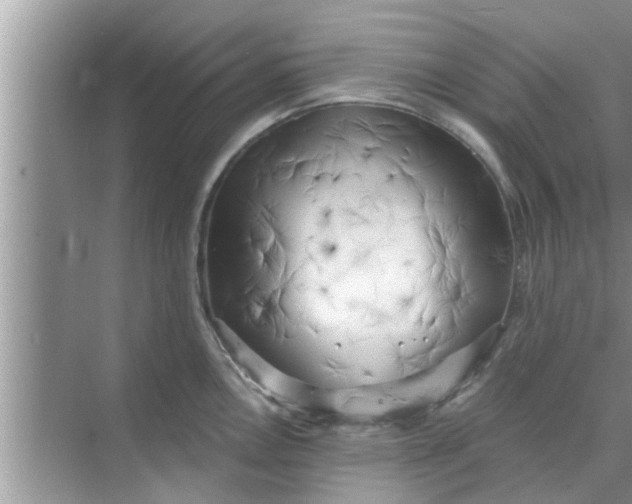 X0000068751146200605121603