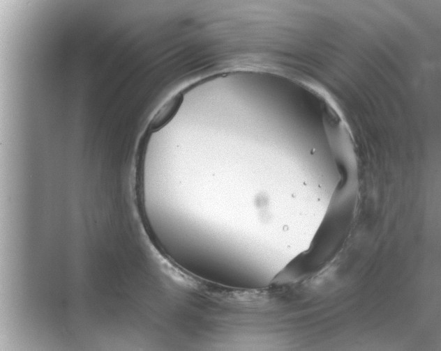 X0000068751147200605121603