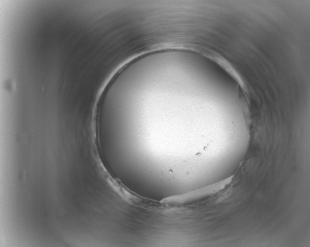 X0000068751148200605121603