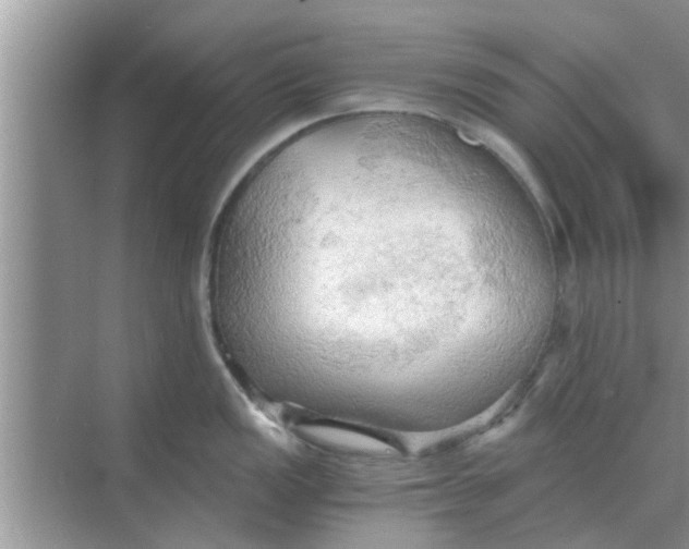 X0000068751149200605121603