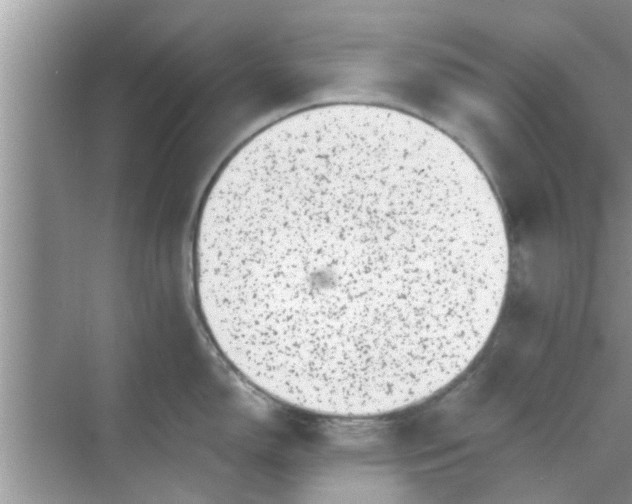 X0000068751150200605121603