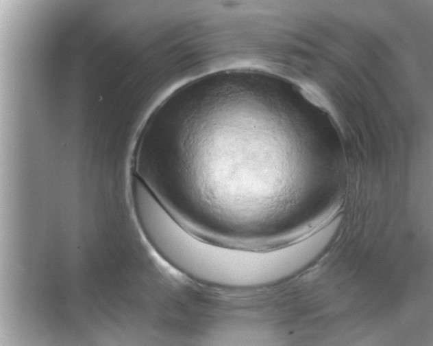 X0000068751151200605121603