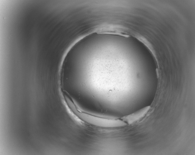 X0000068751152200605121603