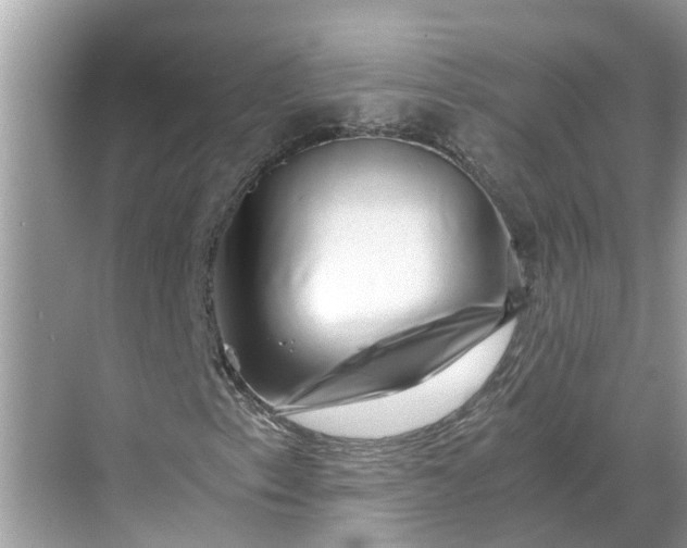 X0000068751153200605121602