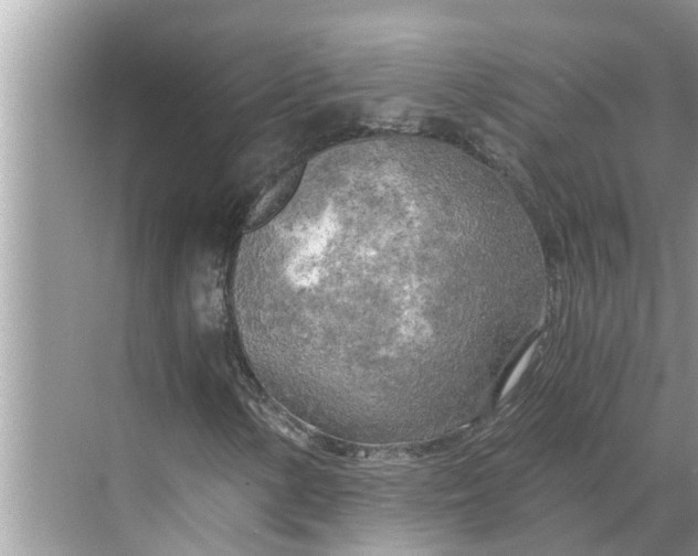 X0000068751154200605121602