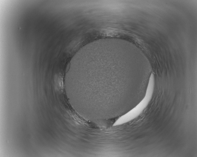 X0000068751155200605121602