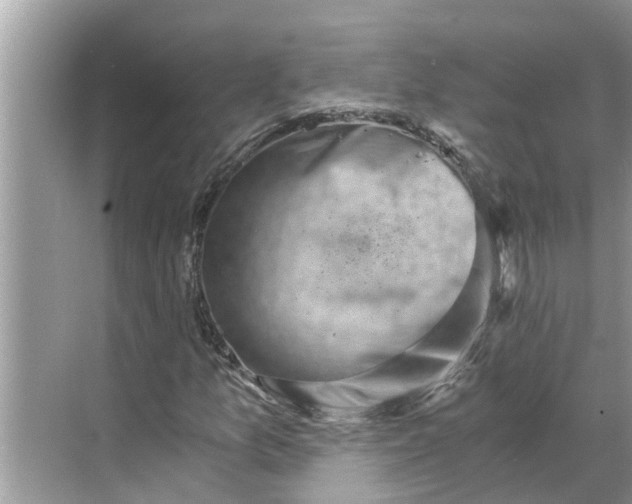 X0000068751157200605121602