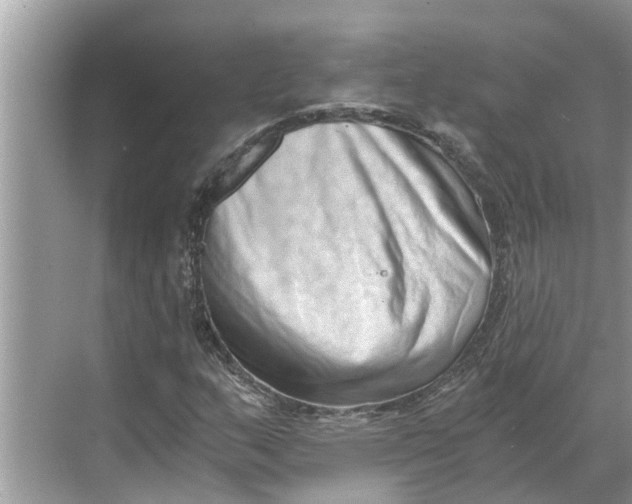 X0000068751159200605121602