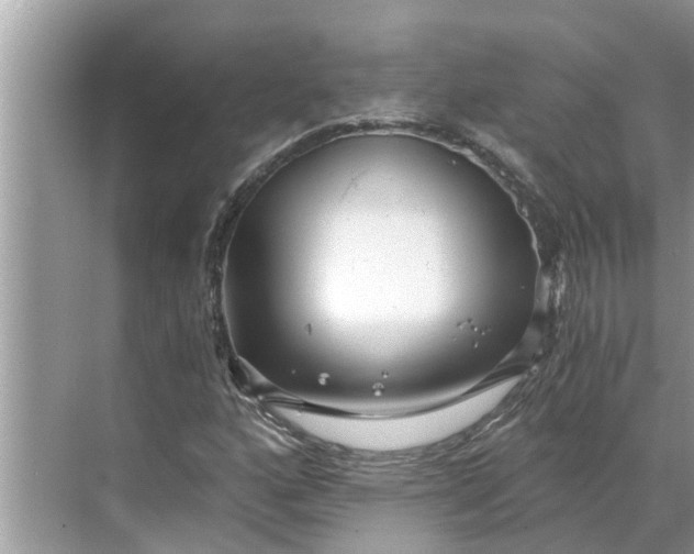 X0000068751160200605121602