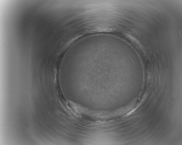 X0000068751161200605121602