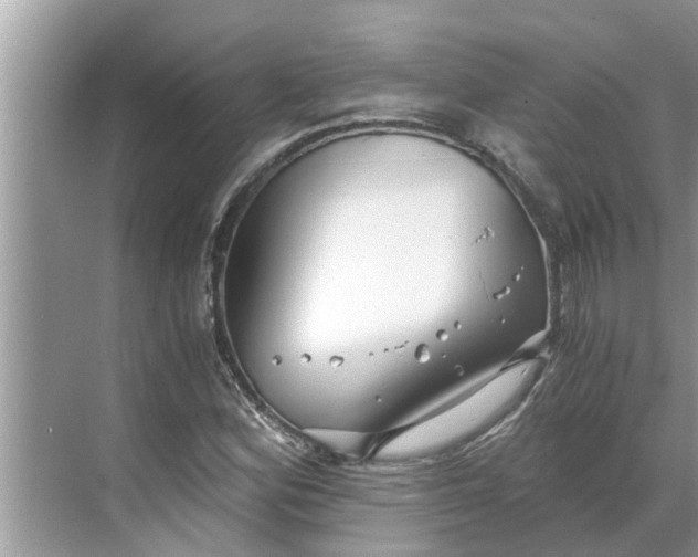 X0000068751164200605121602