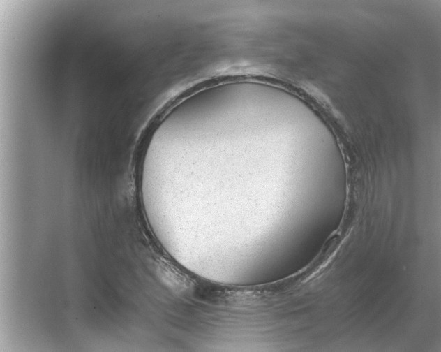 X0000068751167200605121602