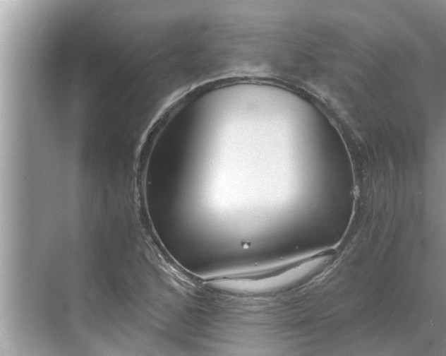 X0000068751168200605121602