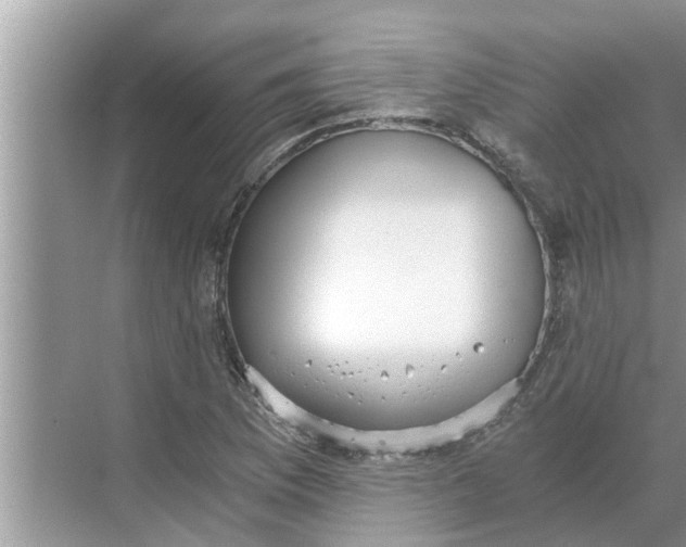 X0000068751169200605121602