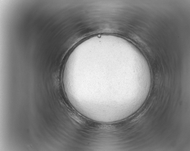 X0000068751170200605121602