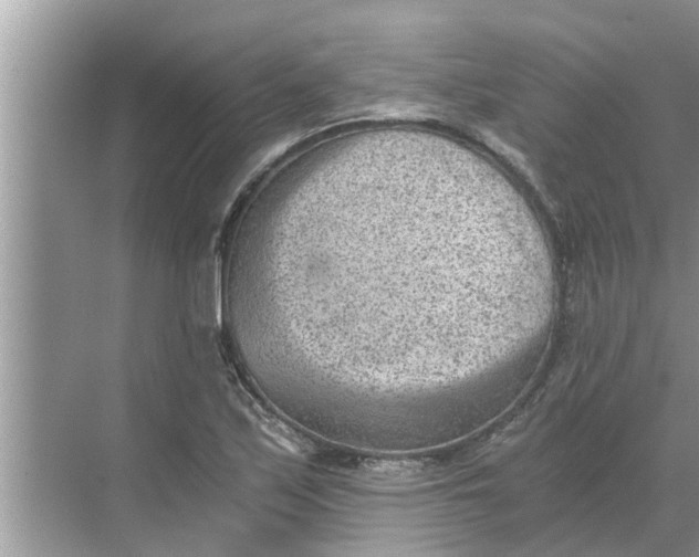 X0000068751171200605121602