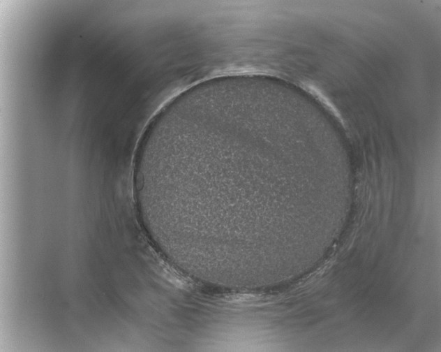 X0000068751173200605121602