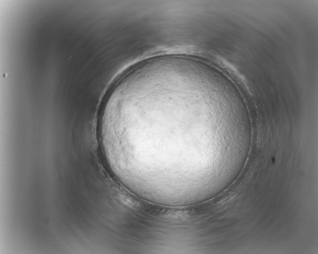 X0000068751174200605121602