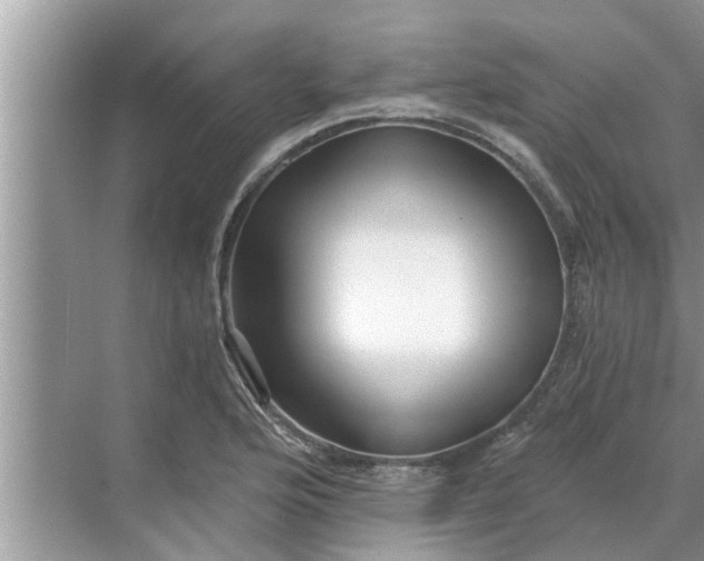 X0000068751176200605121602