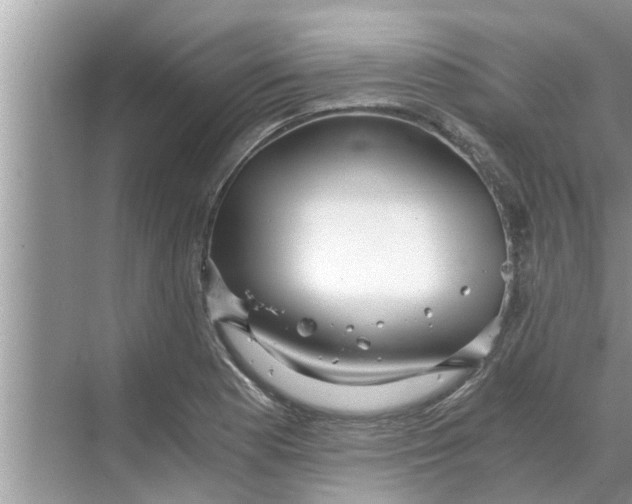 X0000068751177200605121602