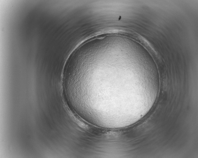 X0000068751178200605121602